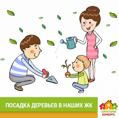 Сажаем вместе деревья в наших ЖК УК Территория Комфорта Сажаем вместе деревья в наших ЖК УК Территория Комфорта