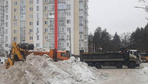 Результаты благоустройства в ЖК «Уникум на Коммунистической» за январь 2025