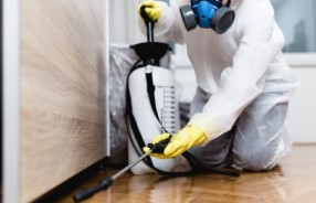 Дезинфекция и дезинсекция