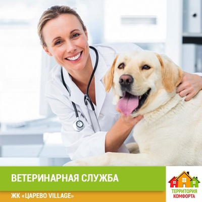 Ветеринарная служба в "Царево Village" УК Территория Комфорта Ветеринарная служба в "Царево Village" УК Территория Комфорта