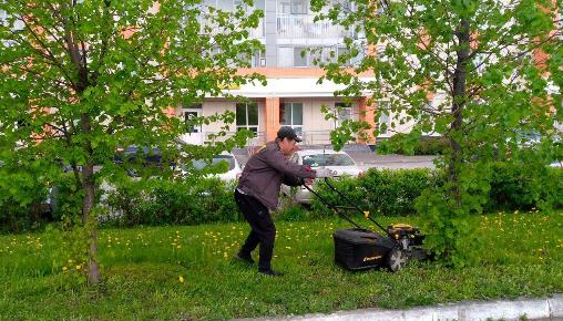 Результаты благоустройства в ЖК «Журавли» за май 2025