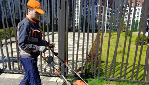 Результаты благоустройства в ЖК «Венский лес» за май 2026