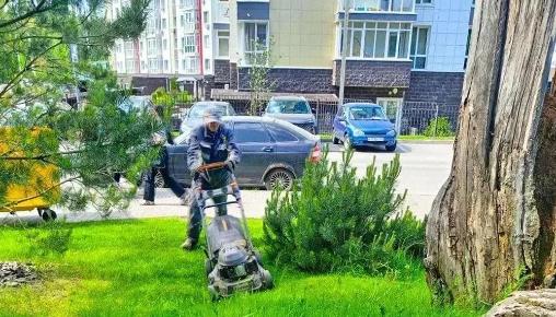 Результаты благоустройства в ЖК «Венский лес» за июль 2026