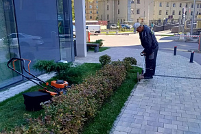 Результаты благоустройства в ЖК «Юпоинт»