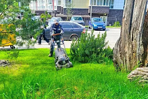 Результаты благоустройства в ЖК «Венский лес»