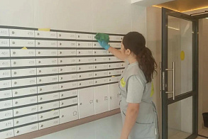 Результаты благоустройства в ЖК «Небосклоны»