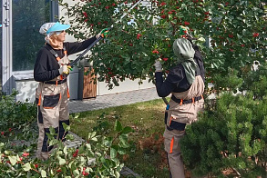 Результаты благоустройства в ЖК «Лето»
