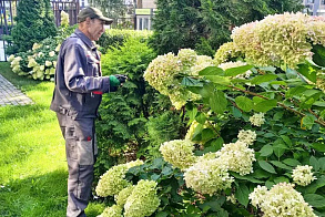 Результаты благоустройства в ЖК «Венский лес»