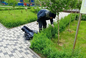 Результаты благоустройства в ЖК «Венский лес»