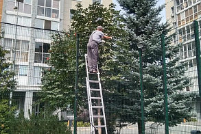 Результаты благоустройства в ЖК «Сокольники»