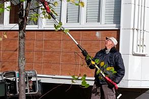 Результаты благоустройства в ЖК «Царево Вилладж»