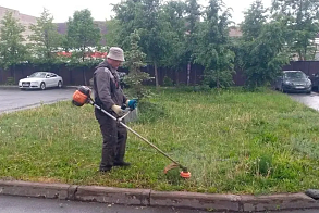 Результаты благоустройства в ЖК «Журавли»