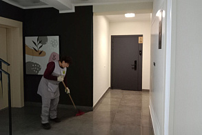 Результаты благоустройства в ЖК «Лето»