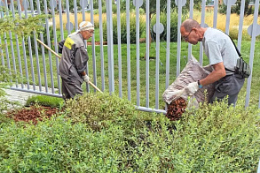 Результаты благоустройства в ЖК «Аквамарин»