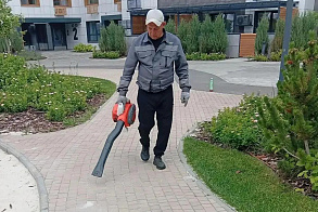 Результаты благоустройства в ЖК «Царево Сити»
