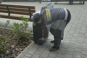 Результаты благоустройства в ЖК «Уникум на Коммунистической»