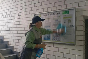 Результаты благоустройства в ЖК «Царево Вилладж»