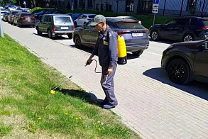 Результаты благоустройства в ЖК «Венский лес»