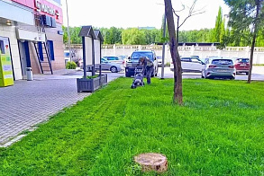 Результаты благоустройства в ЖК «Венский лес»