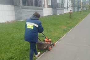 Результаты благоустройства