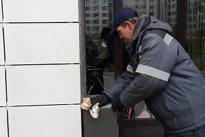 Результаты благоустройства