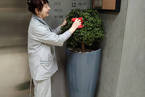 Результаты благоустройства