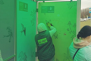 Результаты благоустройства